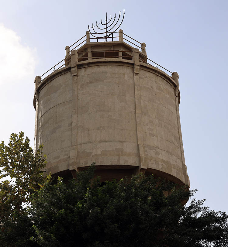 4Migdal_Maim2020__3_