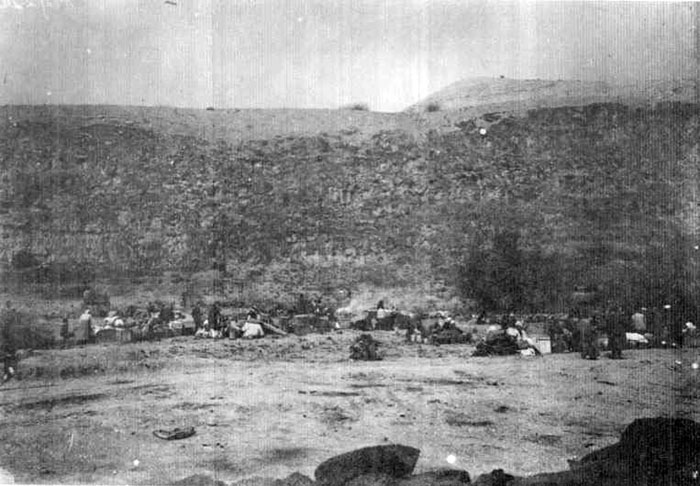 GerushTlvBy_IlanShchori__19_