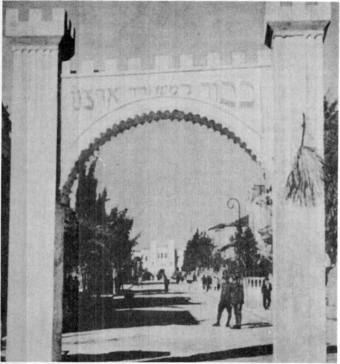 GerushTlvBy_IlanShchori__23_