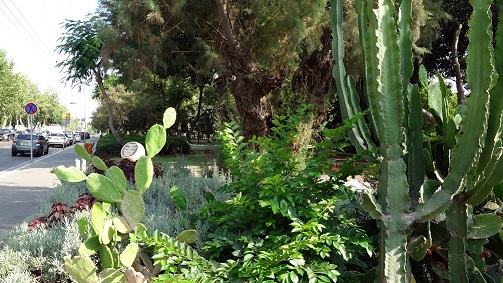 IlanShchori_NeoutAfika_B_Photo_IlanMYTlv_KKK