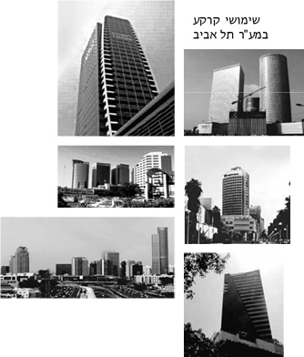 MAAR_TLV